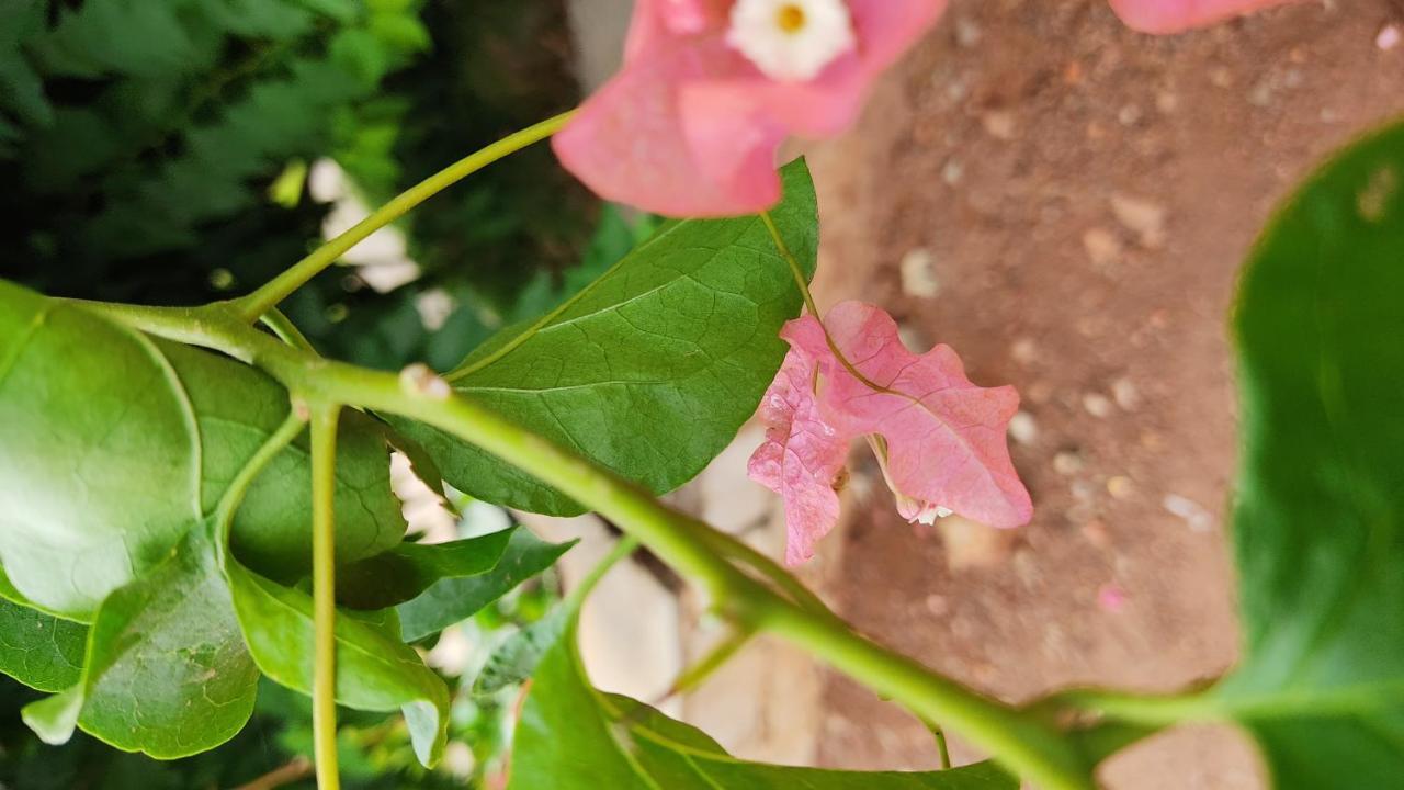 Kanthi Resorts Badami Bagalkot Exterior photo